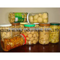 canned mushroom top quality